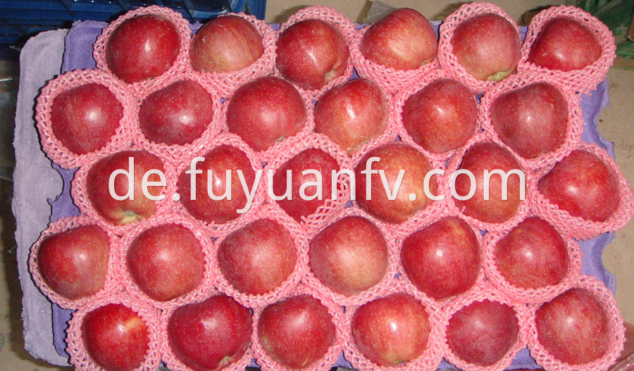 Red Star Apple